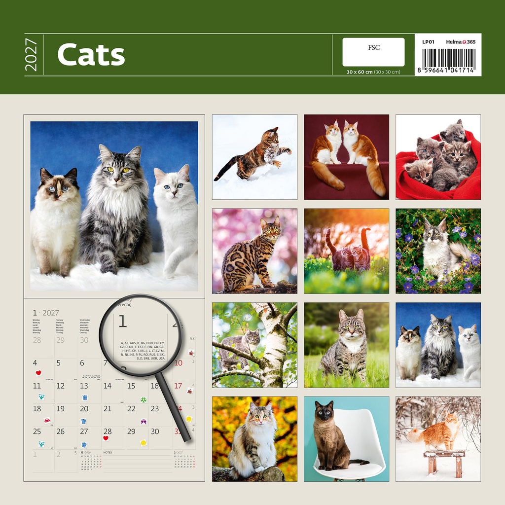 Kalender 2027 Helma 365 30x30cm katten — afbeelding 2
