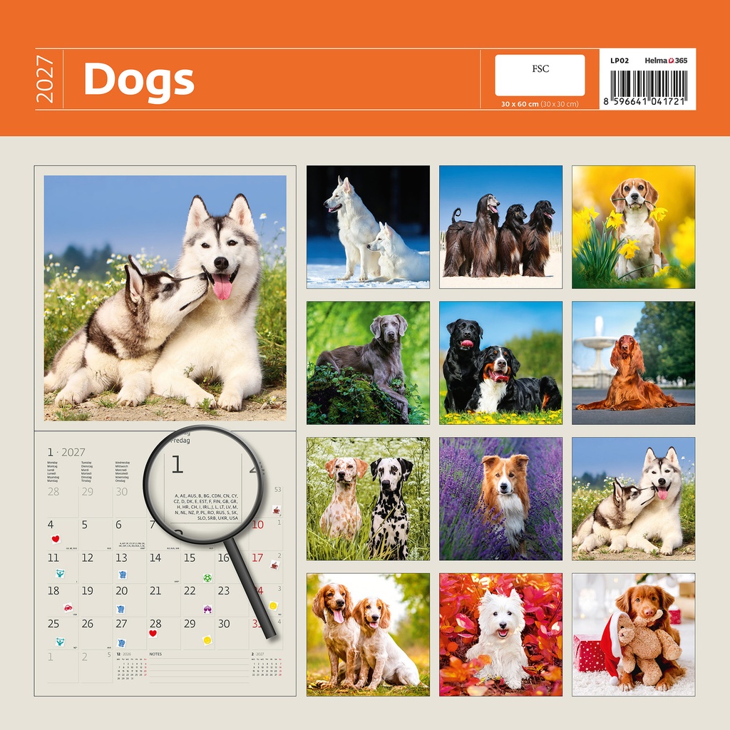 Kalender 2027 Helma 365 30x30cm honden — afbeelding 2