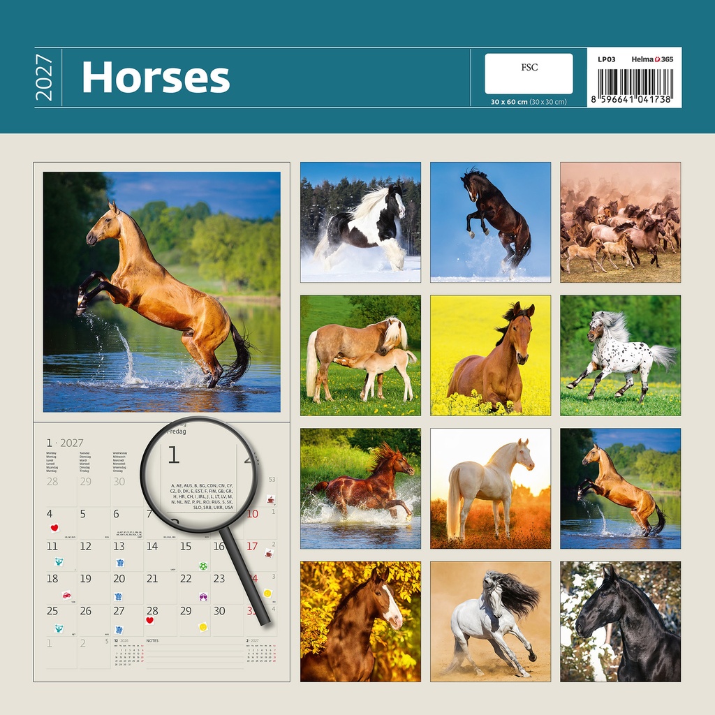 Kalender 2027 Helma 365 30x30cm paarden — afbeelding 2