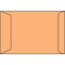 VNKK8388