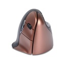 1468677p2