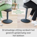 Actieve zitkruk Leitz Ergo met gasveer 47-64cm — afbeelding 6