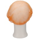 Haarnet CMT clip non-woven M 49cm PP oranje 100 stuks — afbeelding 3