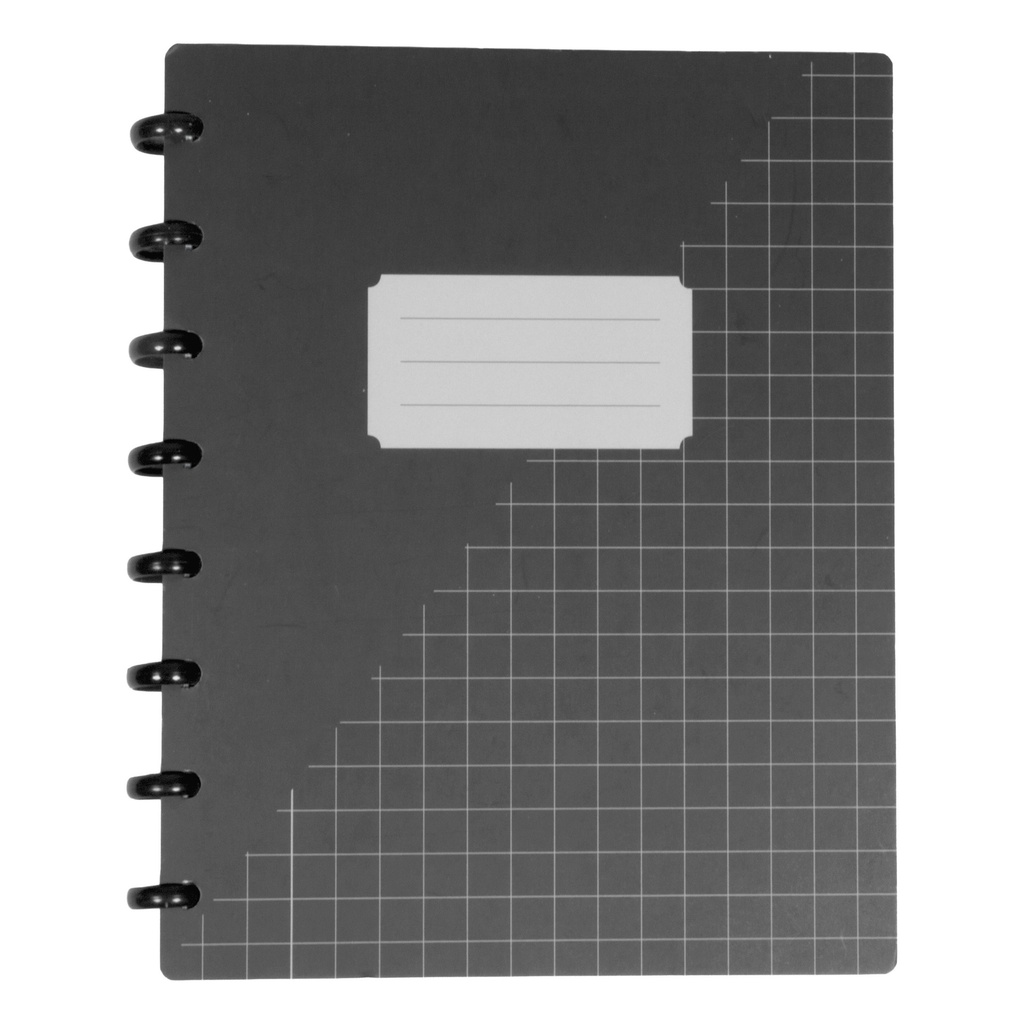 Schrift Kangaro 169x213mm ruit 10mm 144pag 90g ass 3 kleur krimp 12st — afbeelding 2