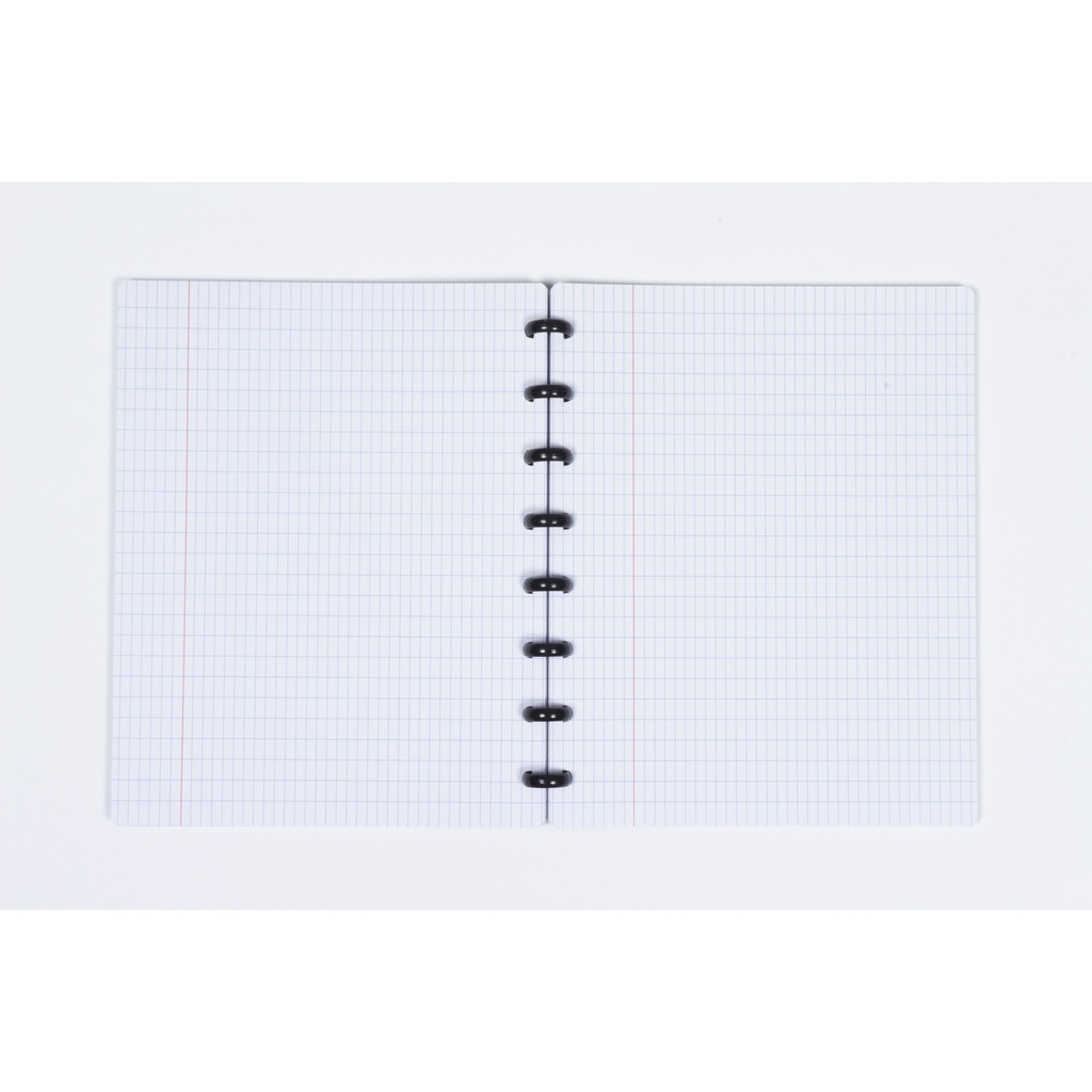 Schrift Kangaro 169x213mm ruit 4x8mm 144pag 90g ass 3 kleur krimp 12st — afbeelding 6