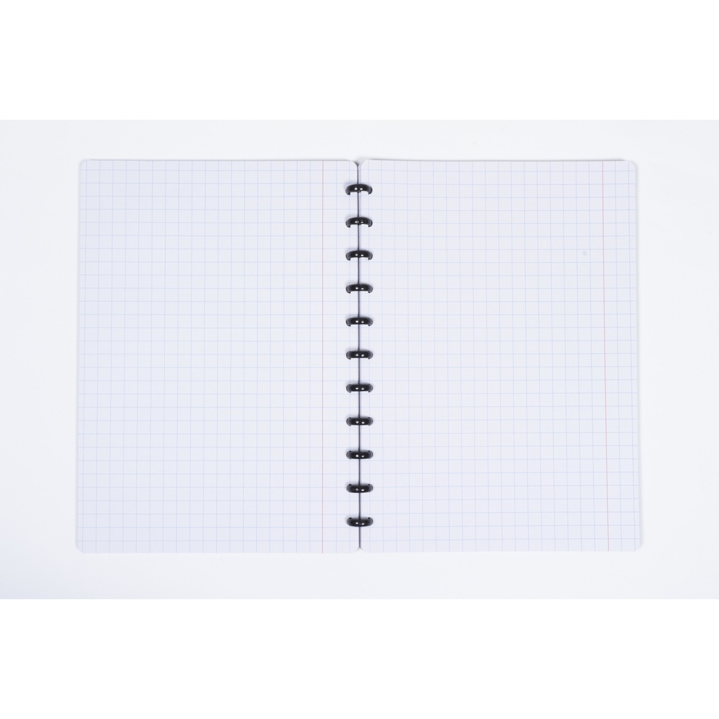 Schrift Kangaro A4 ruit 10mm 144pag 90g assorti 3 kleuren — afbeelding 5