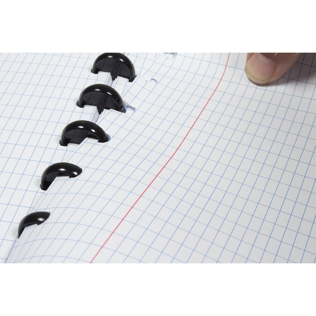 Schrift Kangaro A4 ruit 4x8mm 144 pag 90g assorti 3 kleuren — afbeelding 7