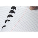 Schrift Kangaro A4 ruit 4x8mm 144 pag 90g assorti 3 kleuren — afbeelding 7