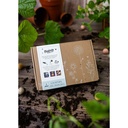 Giftbox Blossombs wilde bloemzaden box à 7 zaadbommetjes — afbeelding 3