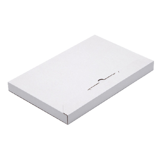 [530403] Brievenbusbox CleverPack A5 karton wit