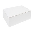 Postpakketbox IEZZY 4 305x215x110mm wit