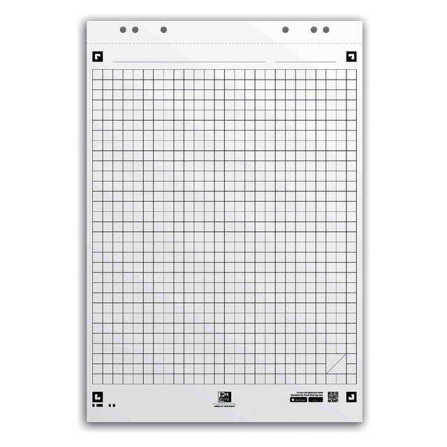 [400096278] Flipoverpap Oxford smart 650x980mm ruit 90gr 20v