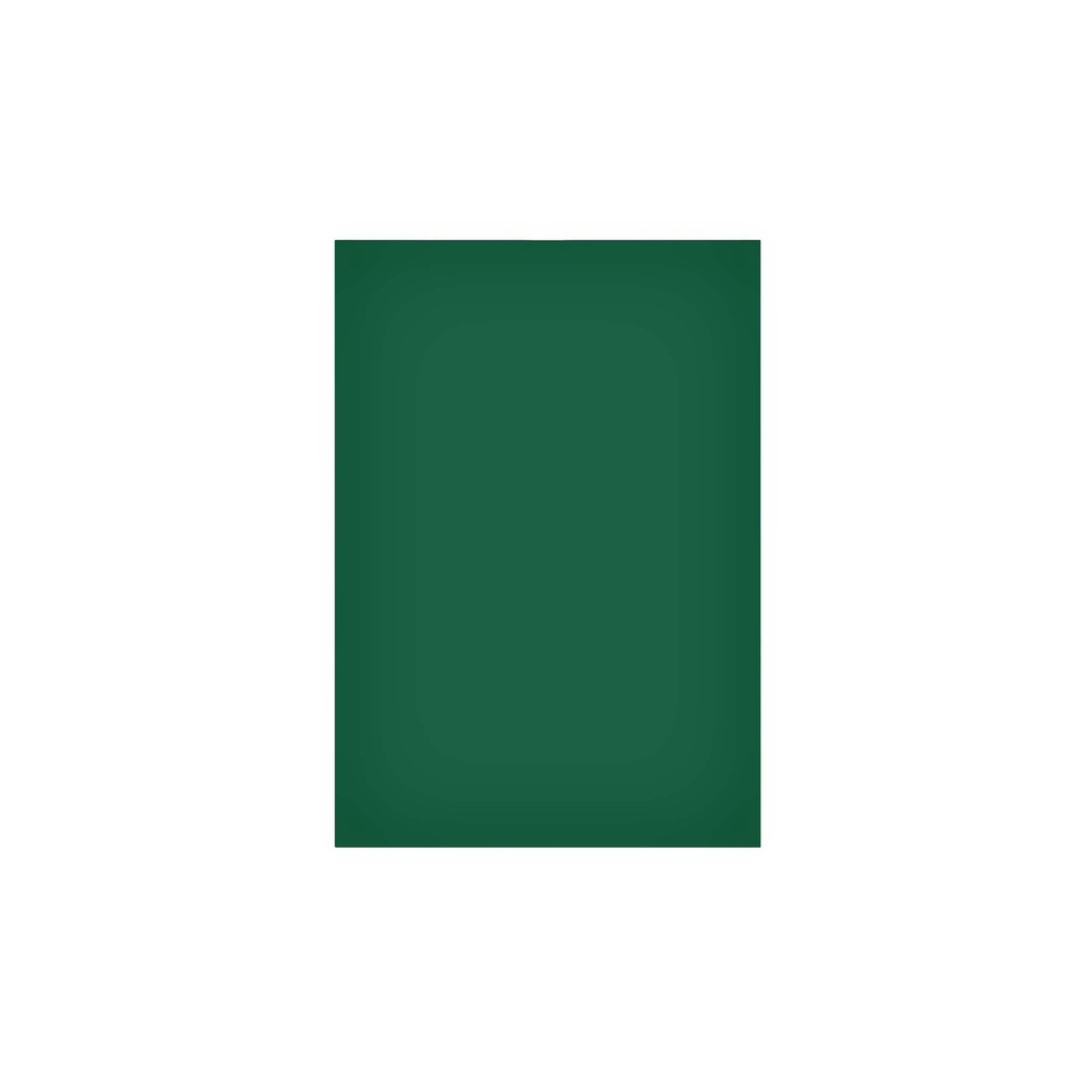 [6526155] Magneetvel MAUL 200x300mm groen