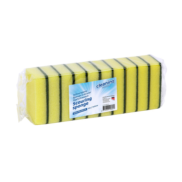 [105064] Schuurspons Cleaninq 100x70mm gl/gr 10st