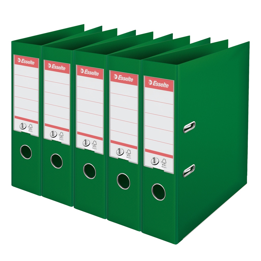 [162560] Ordner Esselte Vivida No.1 multipack 75mm A4 5 gn