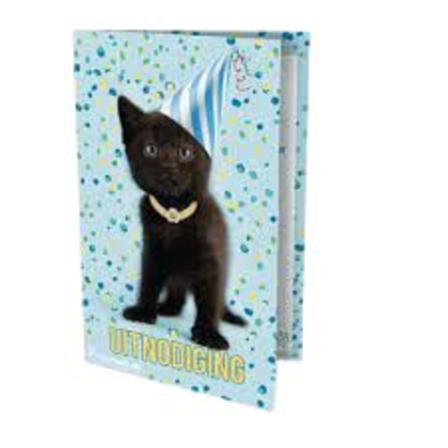 [9789464324532] Uitnodiging Kat Rachael Hale 14x9cm