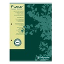 Cursusblk CF Calligraphe A4 ln 2g 200pag 70gr gn
