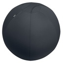 Actieve zitbal Leitz Ergo 75cm anti-rol donkergs