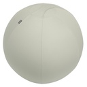 Actieve zitbal Leitz Ergo 75cm anti-rol design