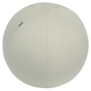 Actieve zitbal Leitz Ergo 65cm anti-rol design