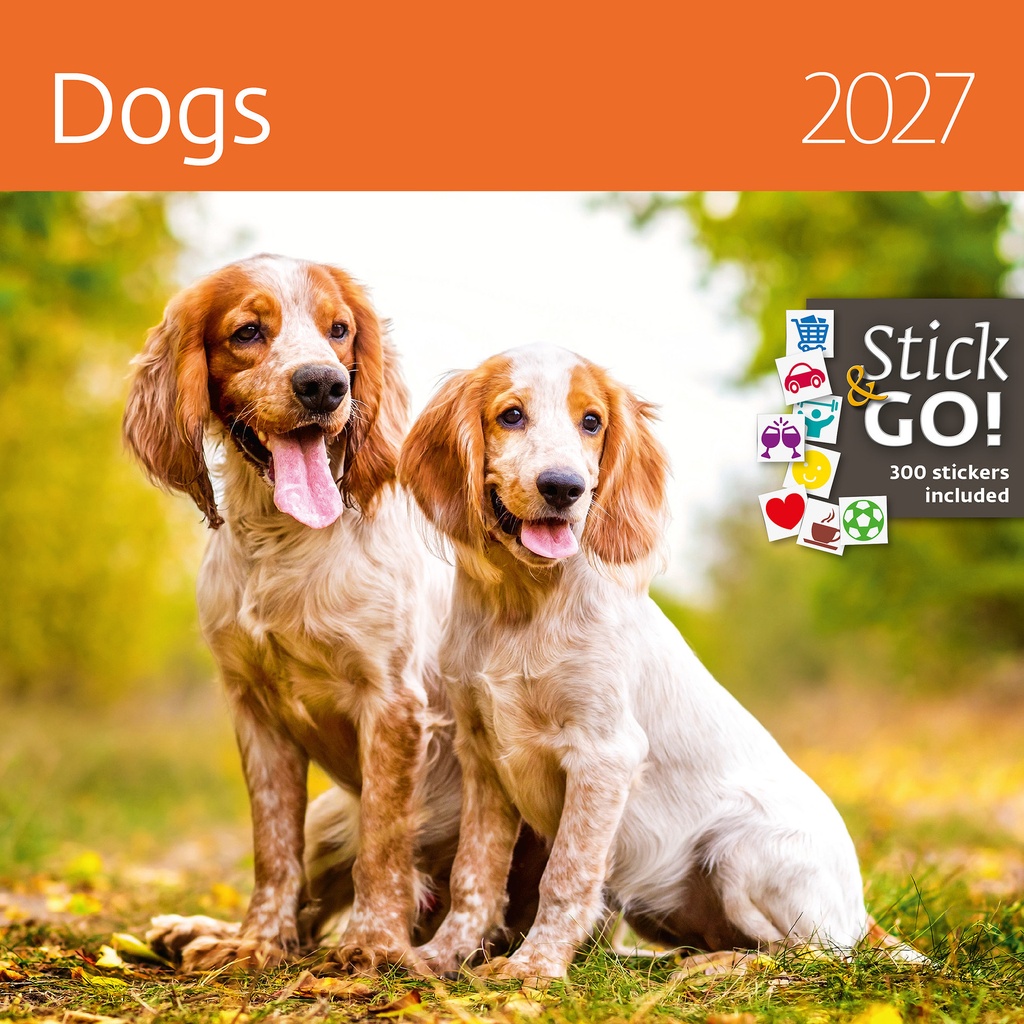 [LP02-27] Kalender 2027 30x30cm honden