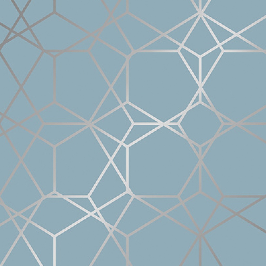 [979206] Apparaatrol Diamond Greyblue 200mx30cm
