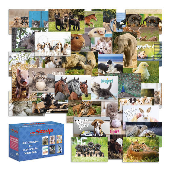 [4701] Beloningskaarten De Stulp dierenmix