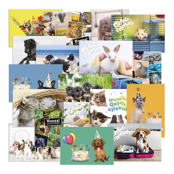 [1101] Beloningsposter-kaart De Stulp dieren A4 assorti