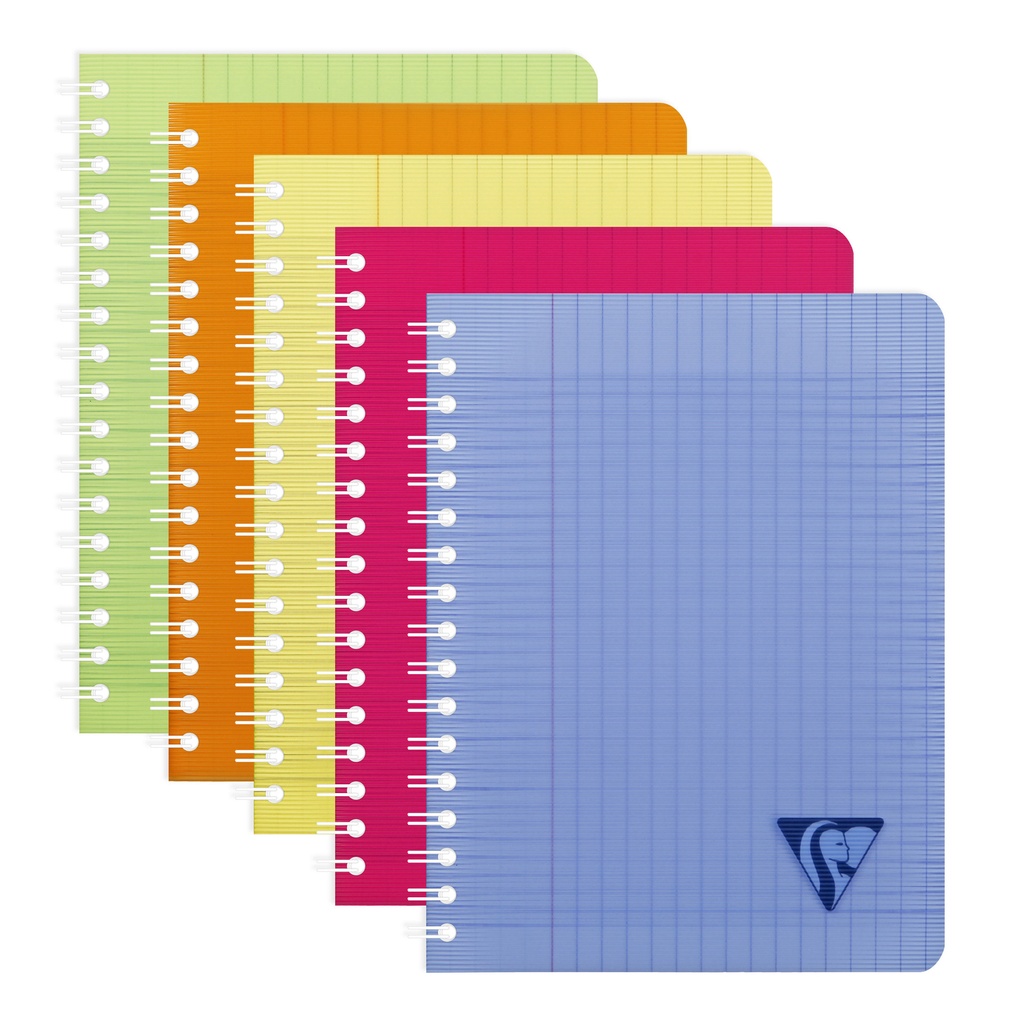 [328715C] Schrift Clairefontaine Linic 170x220mm 50 pag as