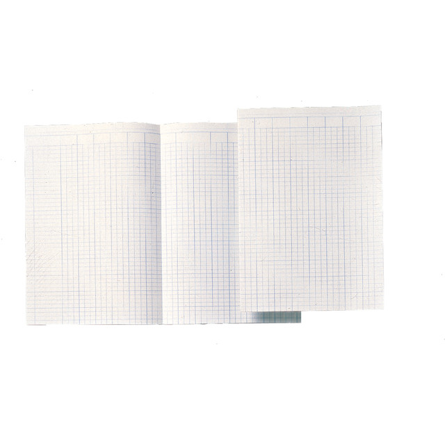 Accountantspapier Djois Atl folio 14 kolom