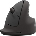 Ergo muis Fellowes Breyta medium rechts