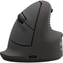 Ergo muis Fellowes Breyta Plus medium rechts