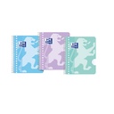 Collegeblk Oxf School A5+ ln 17gaats 160pag pastel