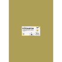 Fotokarton Folia 300gr 50x70cm 65 goud