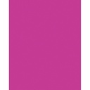 Etalagekarton Folia 1z 48x68cm 380gr nr926 fl rz