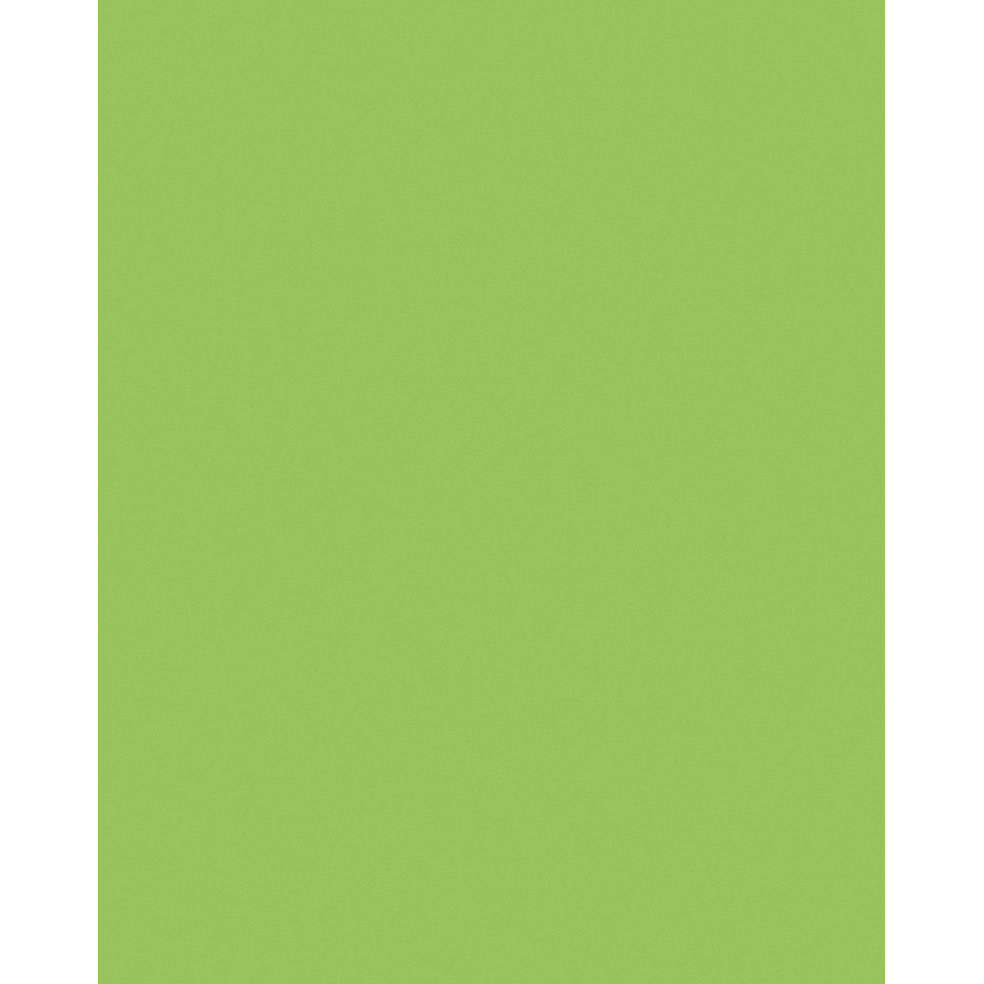 Etalagekarton Folia 1z 48x68cm 380gr nr941 fl gn