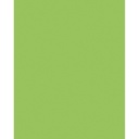 Etalagekarton Folia 1z 48x68cm 380gr nr941 fl gn