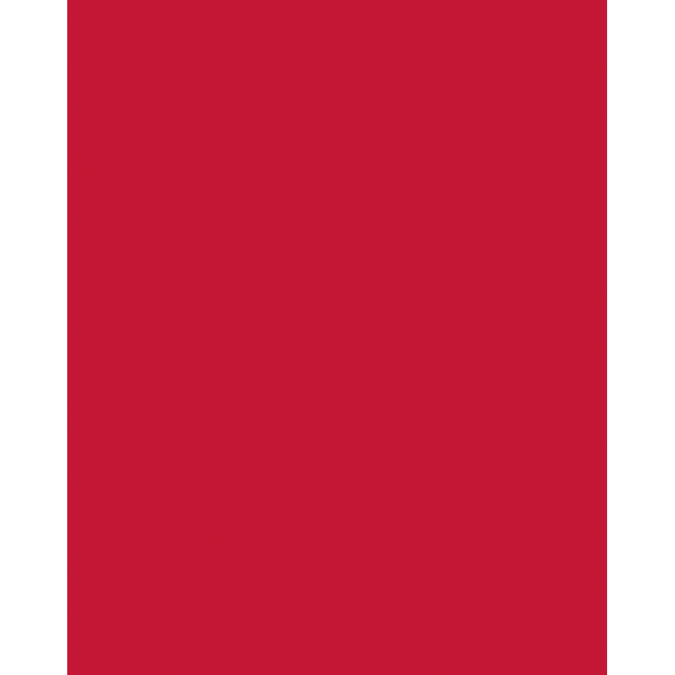 Etalagekarton Folia 1z 48x68cm 380gr nr211 rood