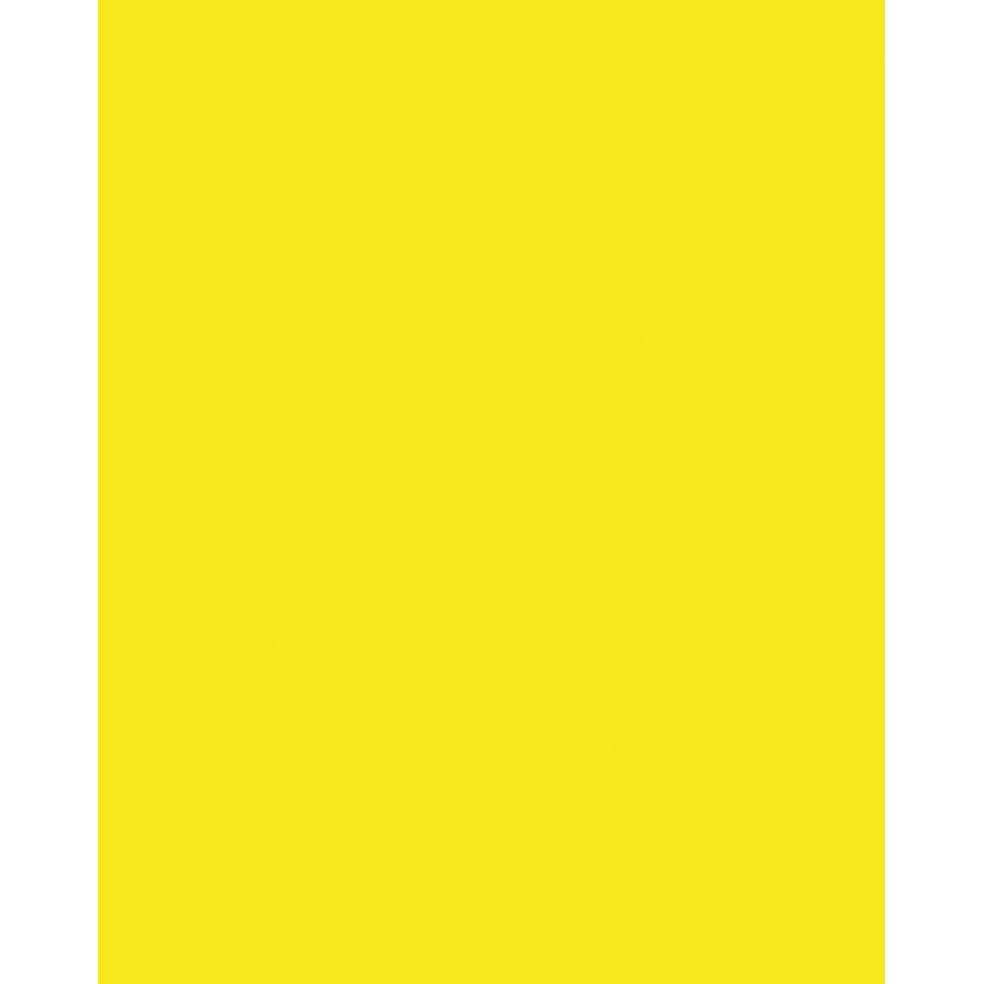 Etalagekarton Folia 1z 48x68cm 380gr nr125 geel