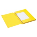 Dossiermap Secolor folio 3kl recy karton 250gr gl