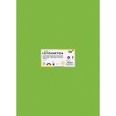 Fotokarton Folia 300gr 50x70cm 55 grasgroen