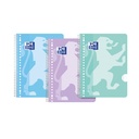Collegeblk Oxf School A4+ ln 23gaats 160pag pastel