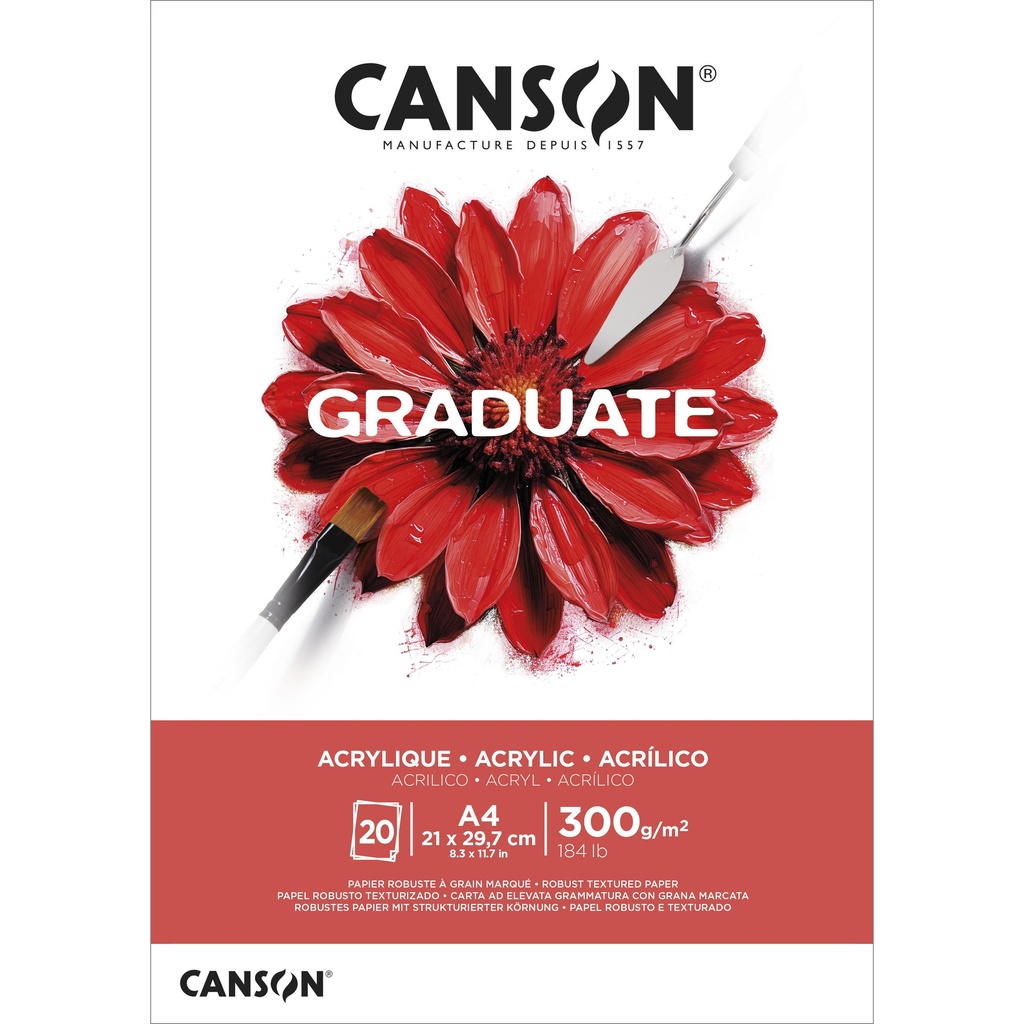 [C525008015] Schilderpapier Canson Graduate 20vel 290gr A4 wit