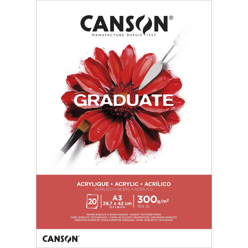 [C525008016] Schilderpapier Canson Graduate 20vel 290gr A3 wit