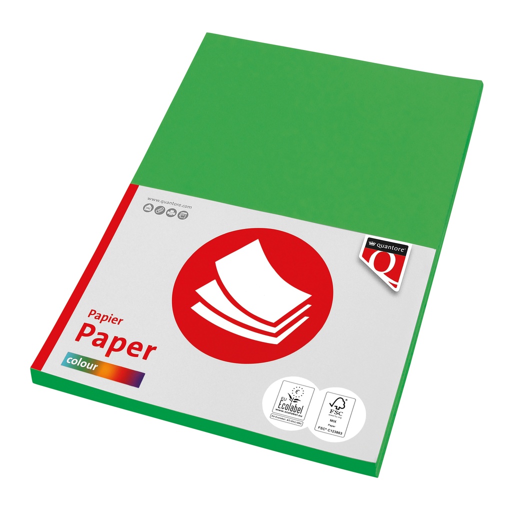 [129710] Kopieerpapier Quantore Col-50 A4 160gr grasgroen