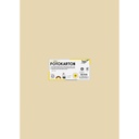 Fotokarton Folia 300gr 50x70cm 10 chamois