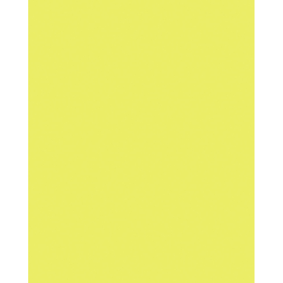 [65911E] Etalagekarton Folia 1z 48x68cm 380gr nr911 fl gl