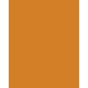 Etalagekarton Folia 1z 48x68cm 380gr nr915 or