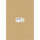 Golfkarton Folia E-golf 50x70cm 250gr nr65 goud