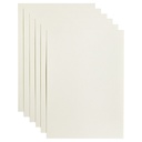 Kopieerpapier Papicolor A4 100gr anjerwit